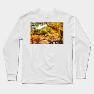 Arizona Summer Long Sleeve T-Shirt